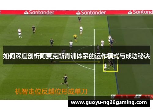 如何深度剖析阿贾克斯青训体系的运作模式与成功秘诀
