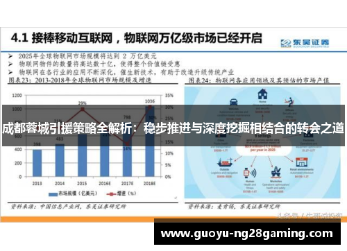 成都蓉城引援策略全解析：稳步推进与深度挖掘相结合的转会之道
