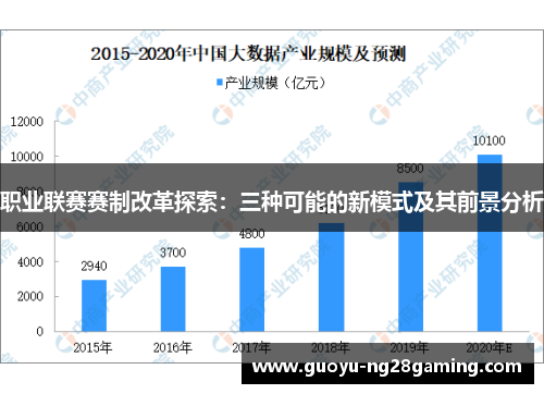 职业联赛赛制改革探索：三种可能的新模式及其前景分析